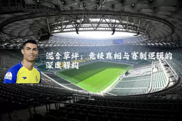 混合草坪:竞技真相与赛制逻辑的深度解构